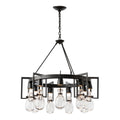 Apothecary Circular Chandelier 9-Light Clear Glass (ZM) in Black