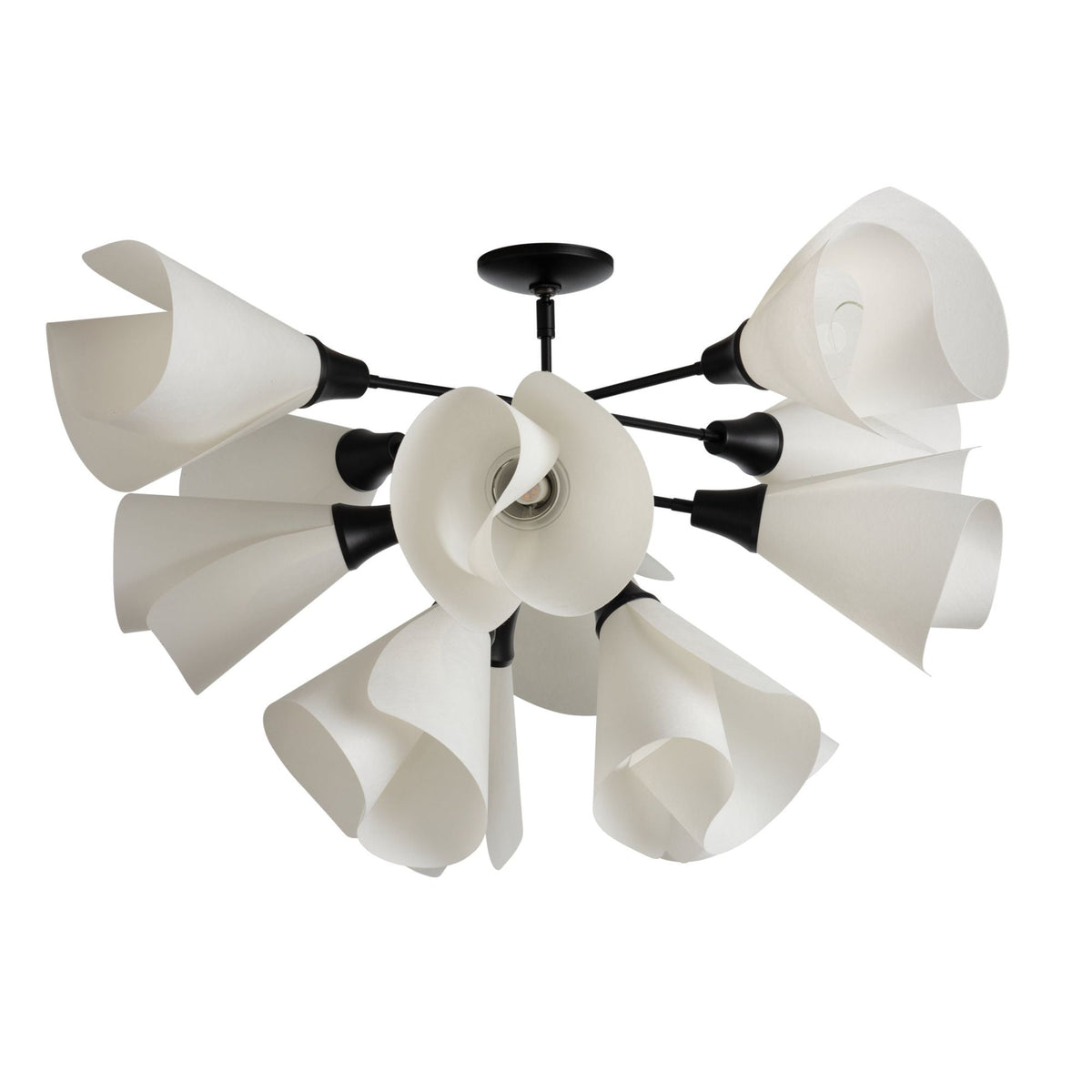 Mobius 12-Light Semi-Flush 12-Light Spun Frost (SH) in Black