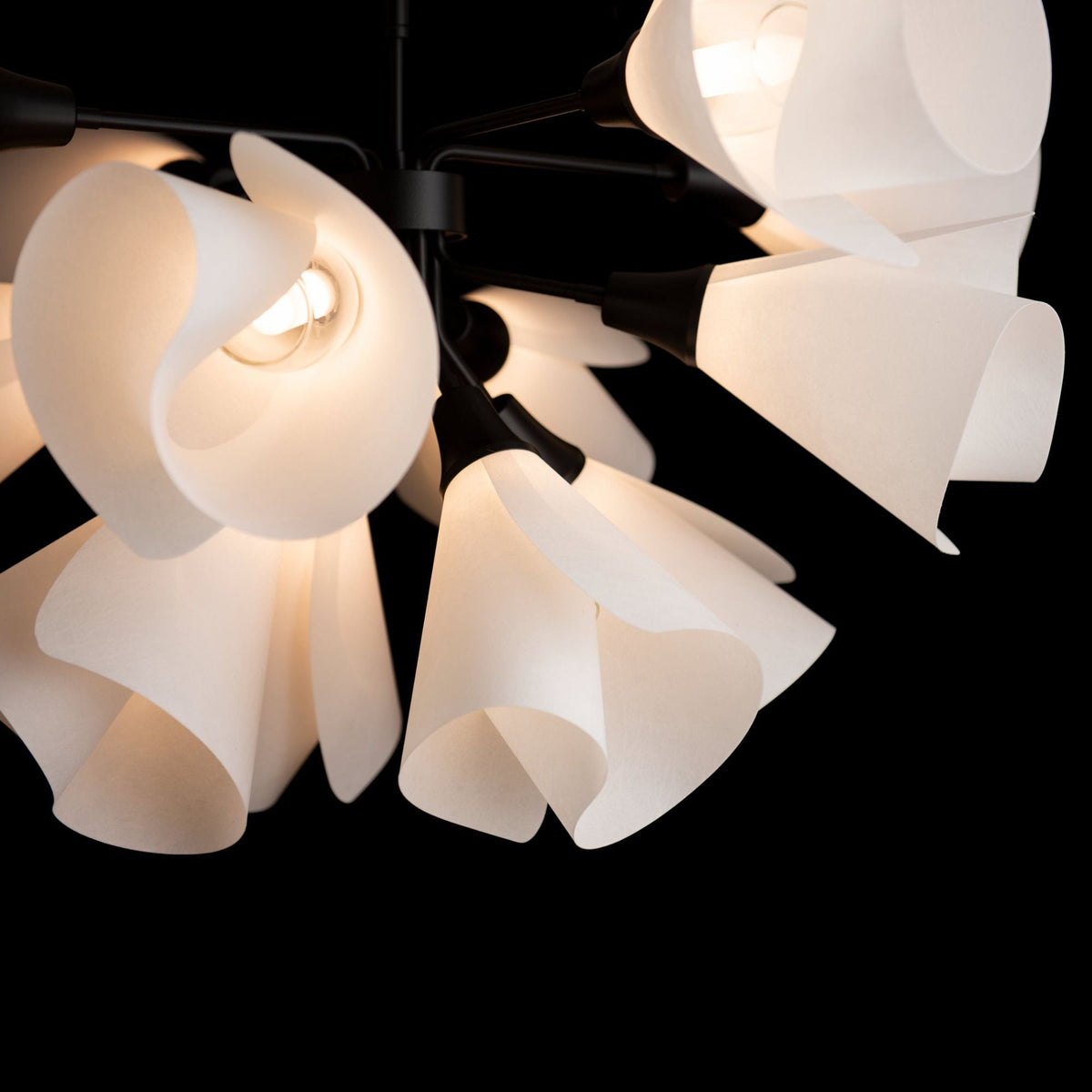 Mobius 12-Light Semi-Flush 12-Light Spun Frost (SH) in Black