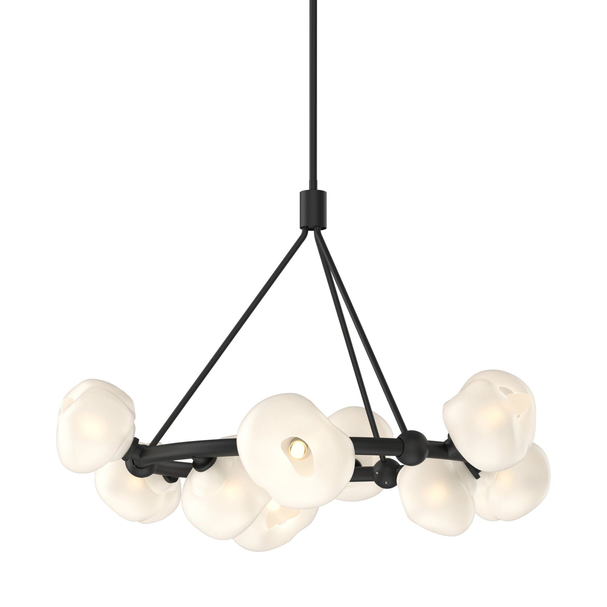 Ume 9-Light Ring Pendant 9-Light Frosted Glass (FD) in Black