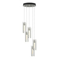 Exos Glass 5-Light Pendant 5-Light Clear Glass (ZM) in Sterling