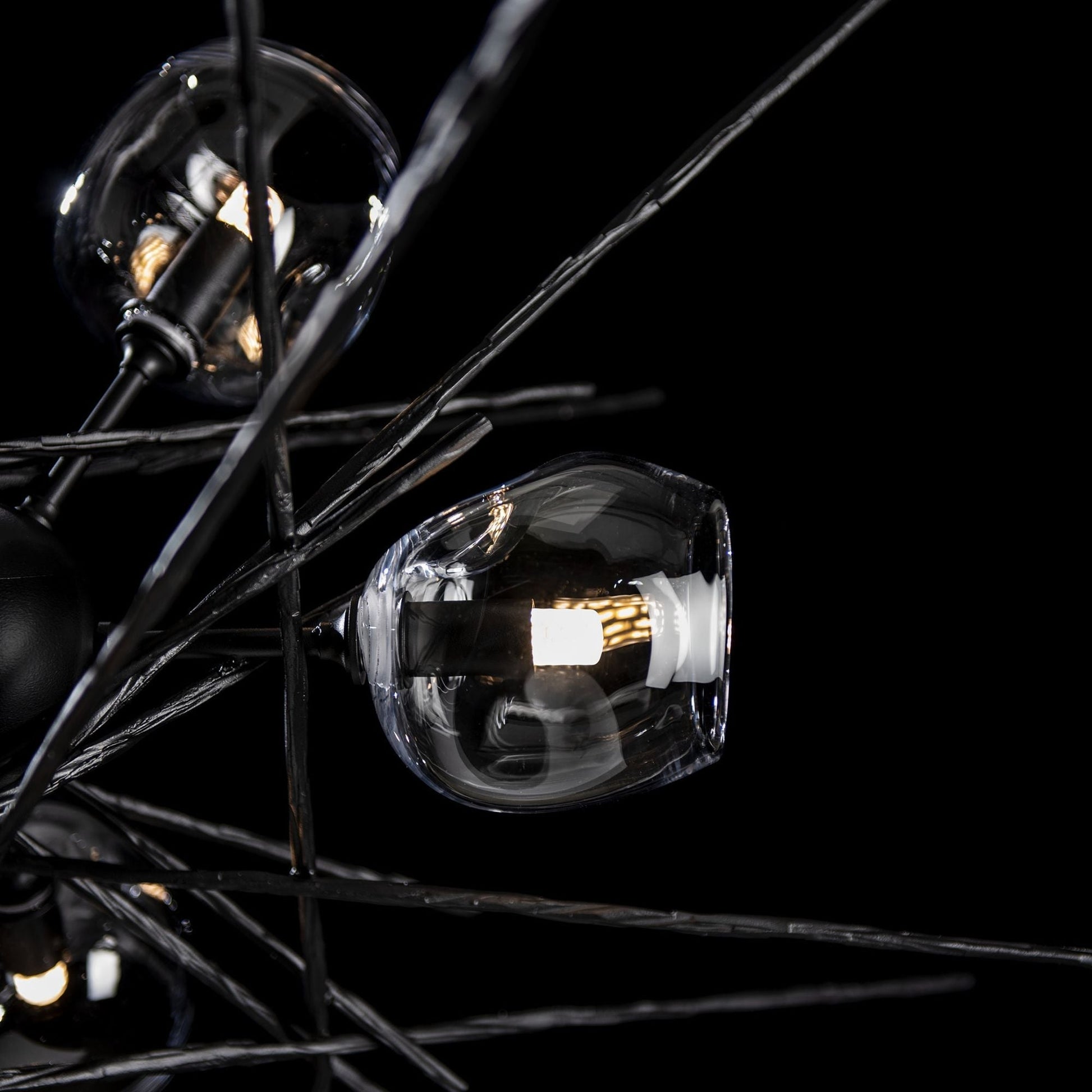 Griffin Starburst Pendant 6-Light Clear Glass (ZM) in Black