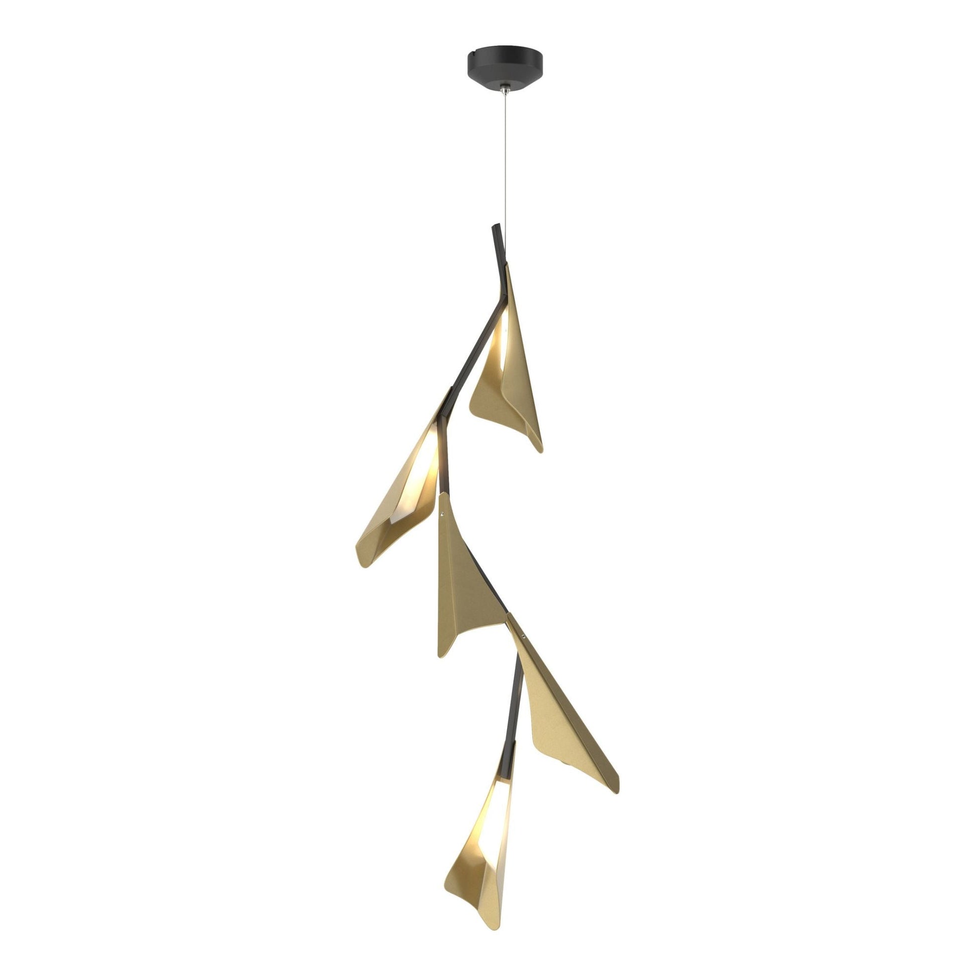 Plume 5-Light LED Pendant Modern Brass Accent LED in Black