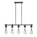 Apothecary Pendant 5-Light Clear Glass (ZM) in Black