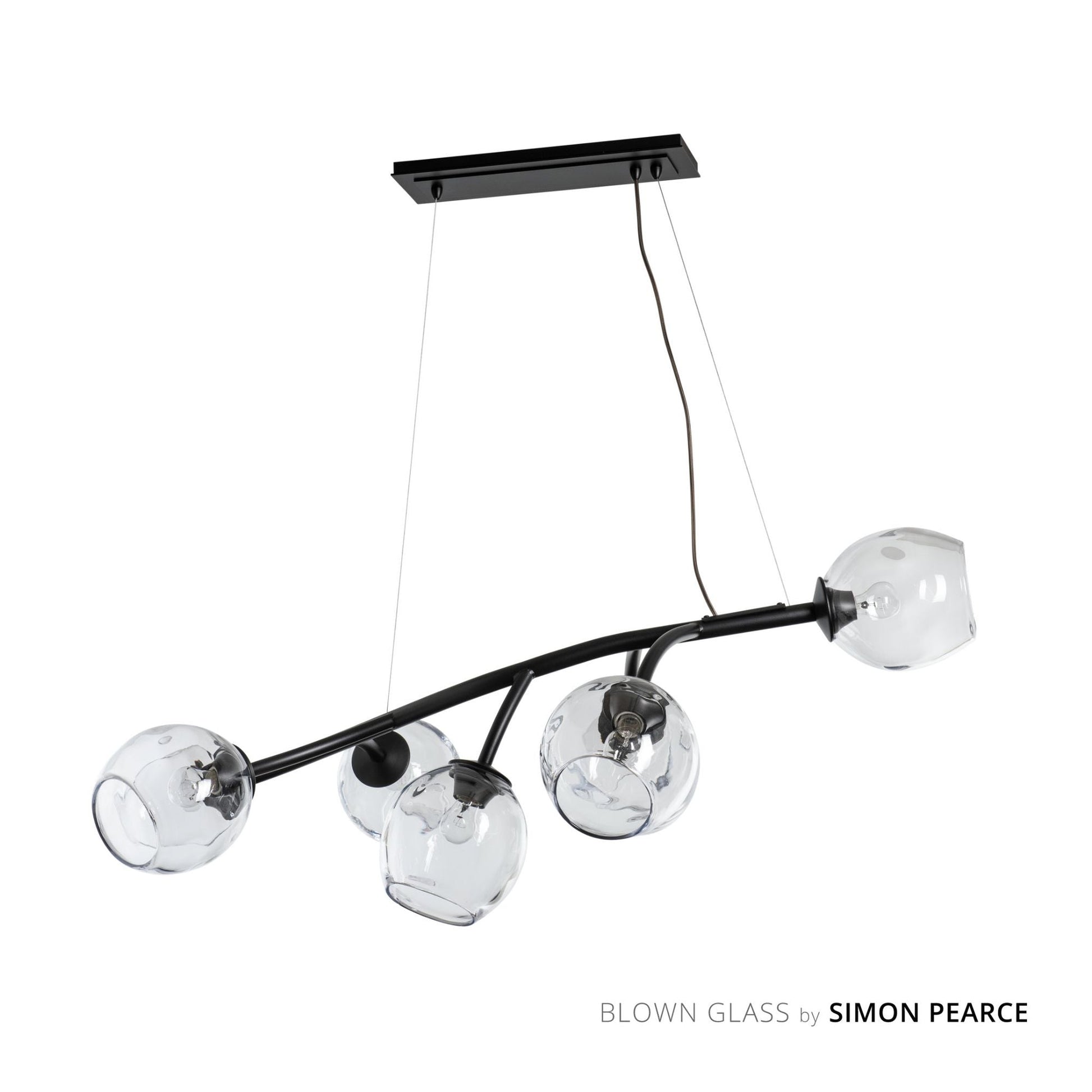 Vine Pendant 7-Light Clear Glass (ZM) in Black