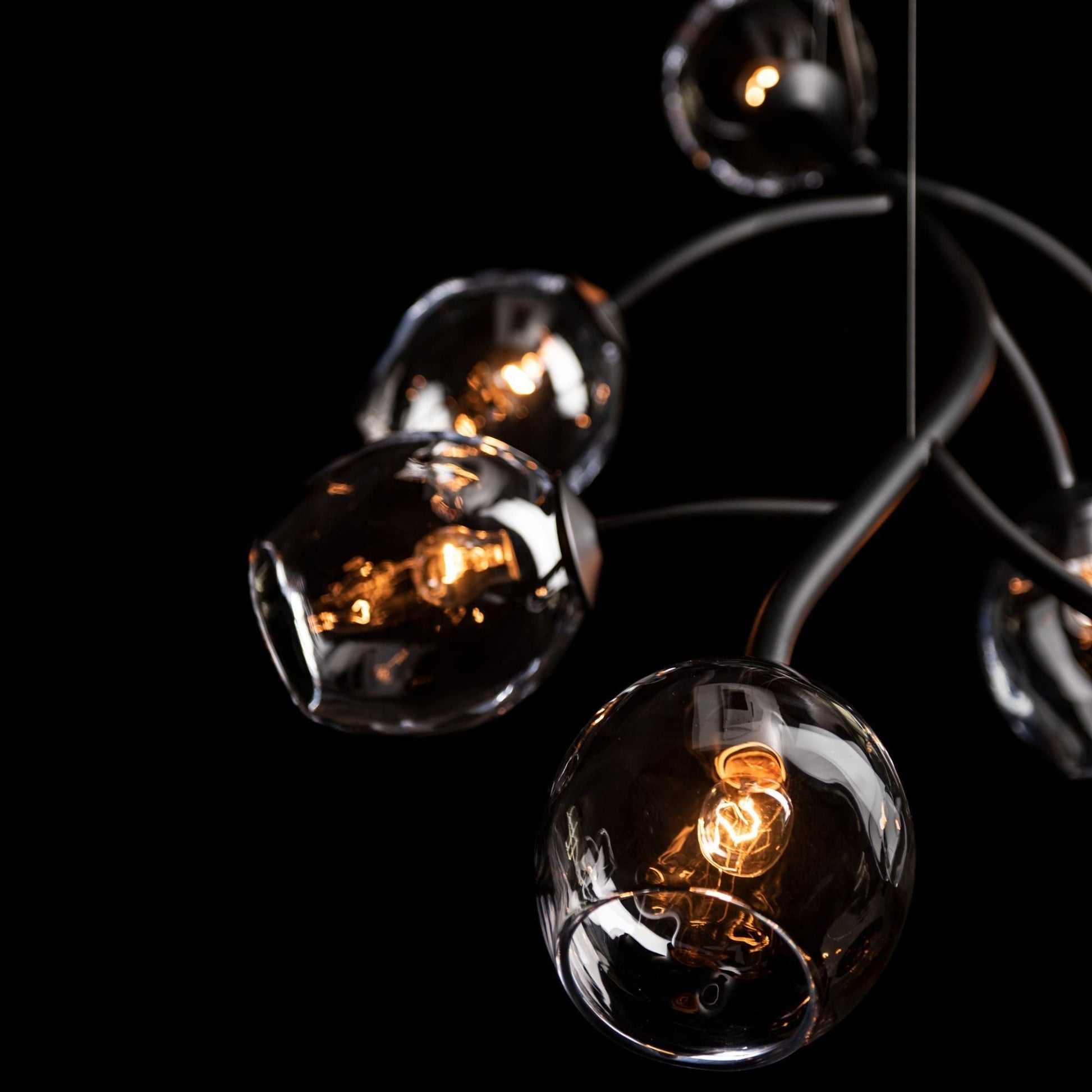 Vine Pendant 7-Light Clear Glass (ZM) in Black