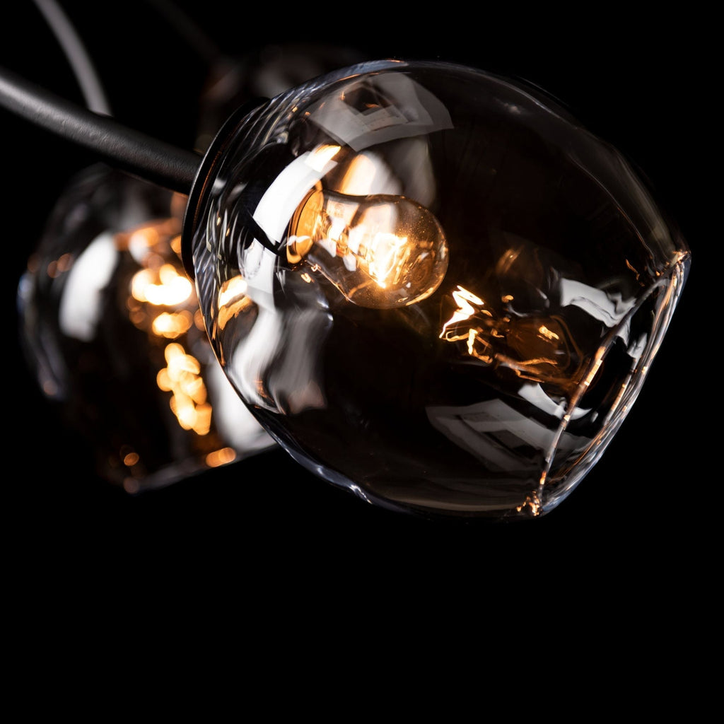 Vine Pendant 7-Light Clear Glass (ZM) in Black