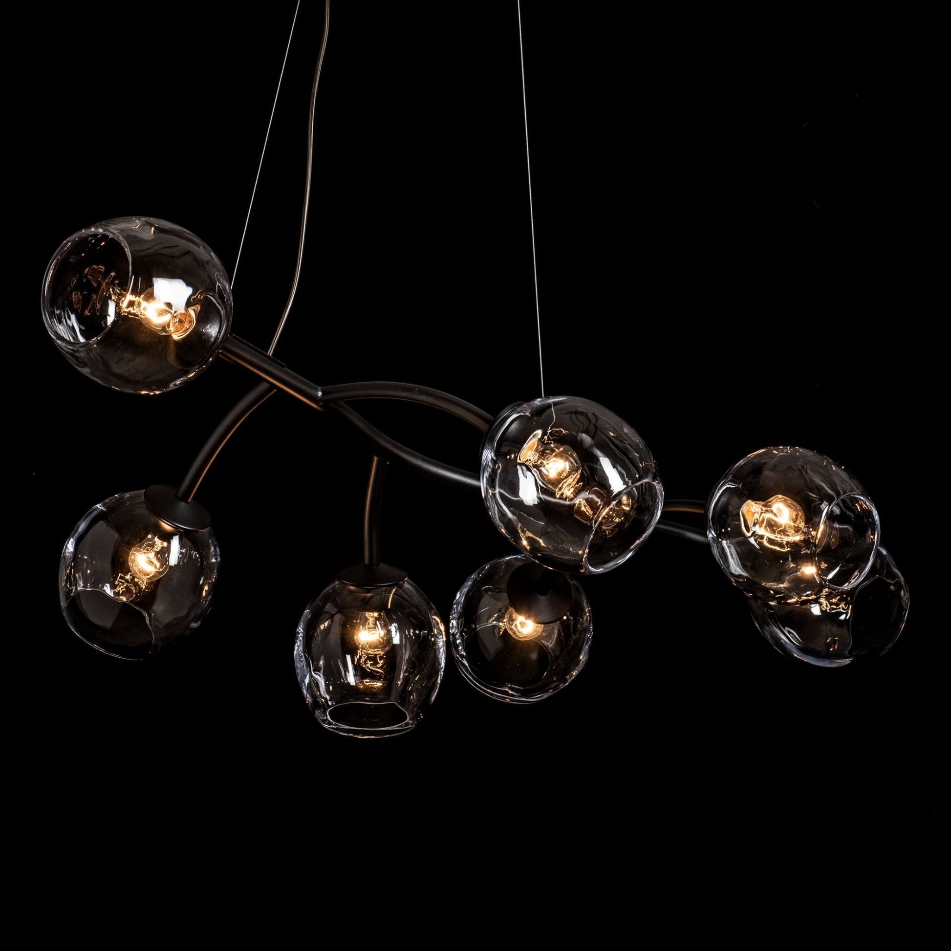 Vine Pendant 7-Light Clear Glass (ZM) in Black