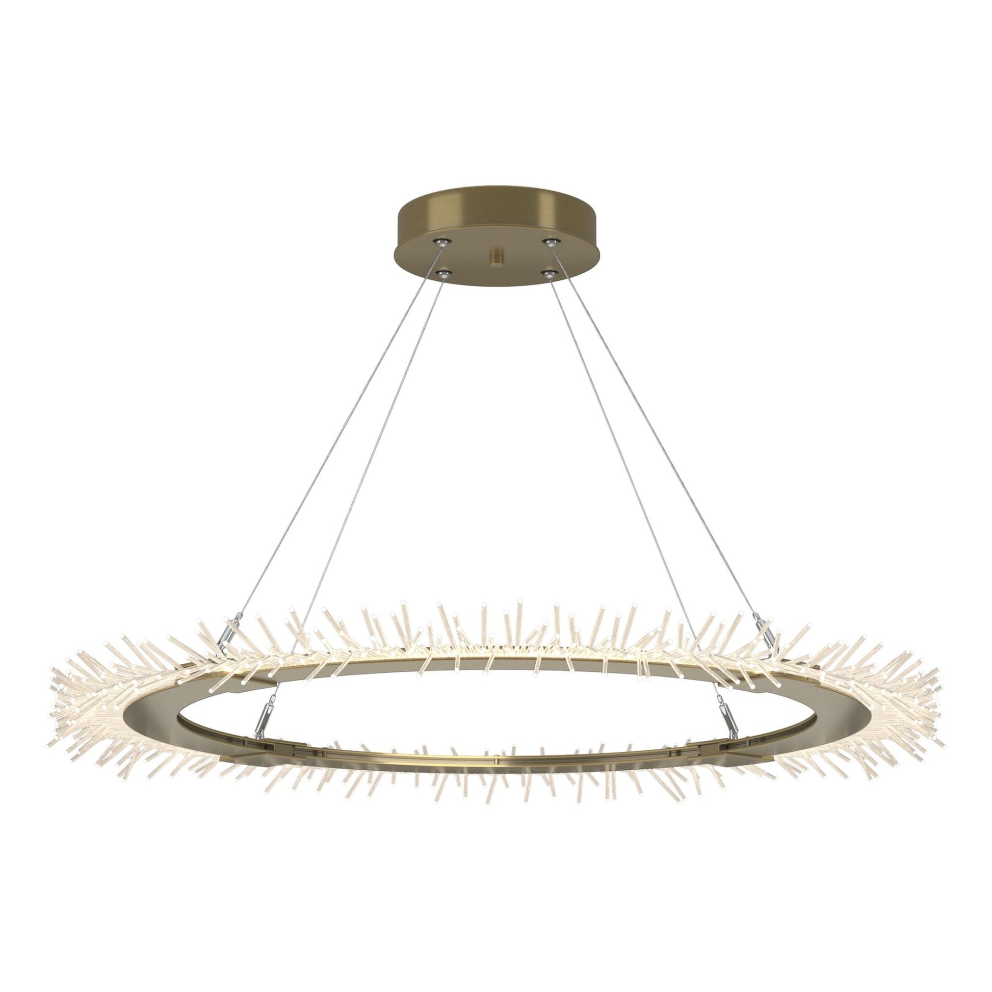 Anemone Circular LED Pendant LED in Modern Brass