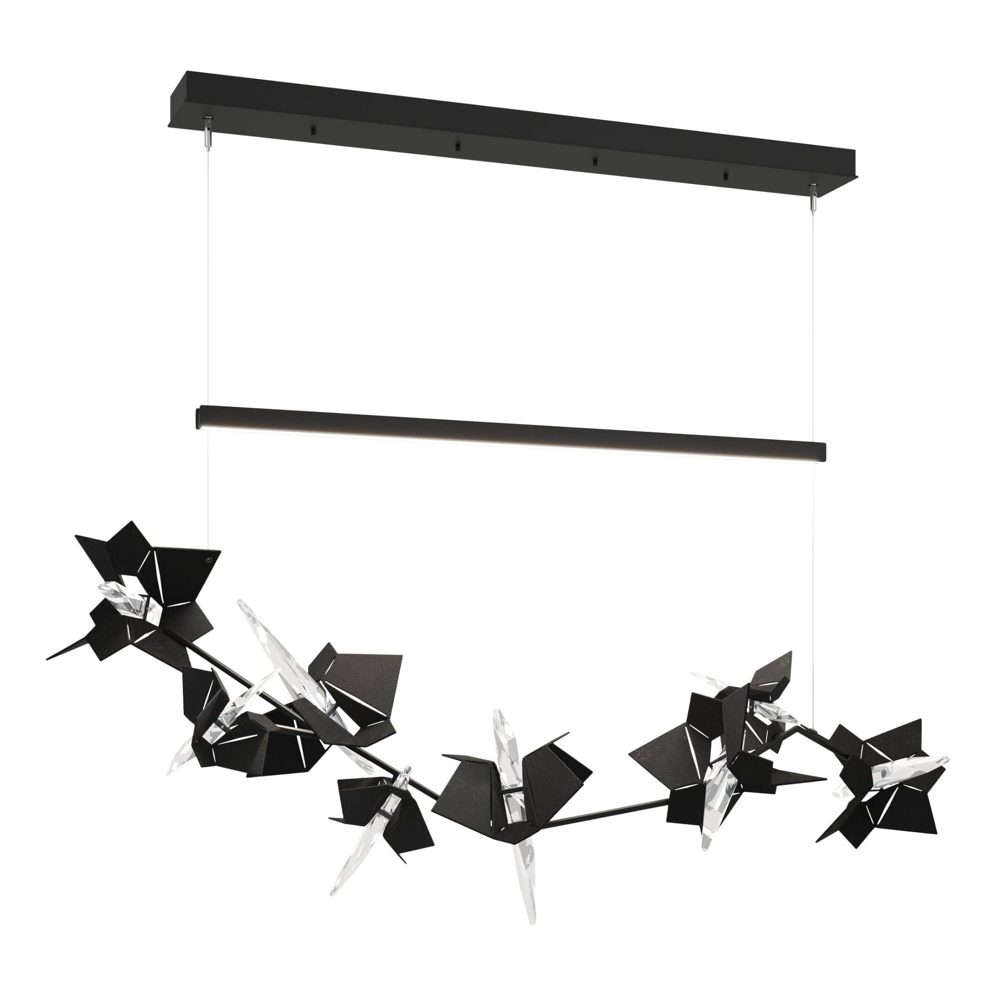Belladonna LED Pendant Black Accent LED in Black