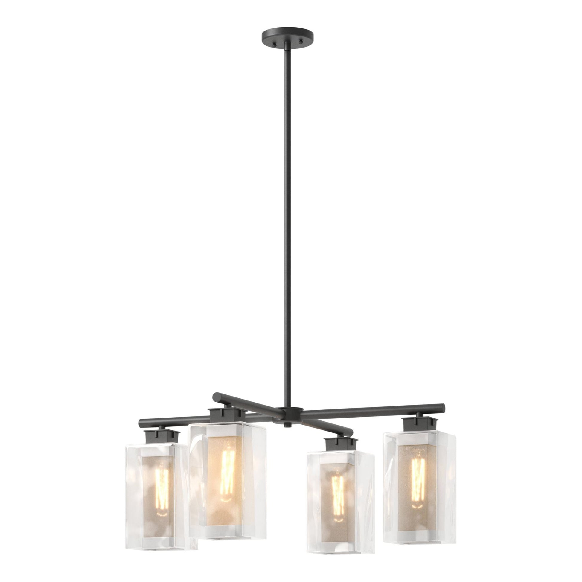 Polaris Outdoor 4-Light Pendant 4-Light Coastal Silver Accent Clear Glass (ZM) in Coastal Black