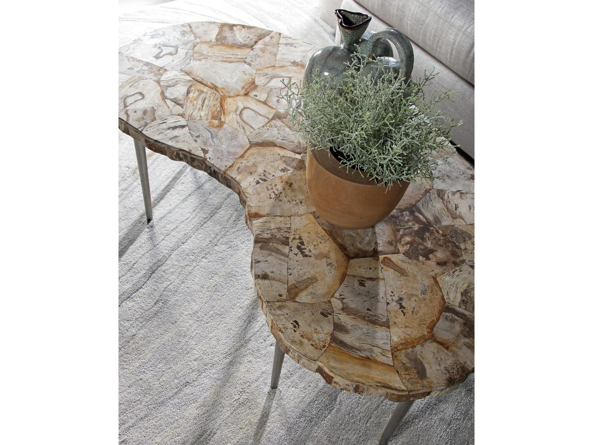 Home Caldera Kidney Coffee Table Petrified Wood and Silver Iron