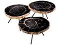 De Soto Dark Range Petrified Wood Set of 3 Coffee Table with Bronze Finish Legs