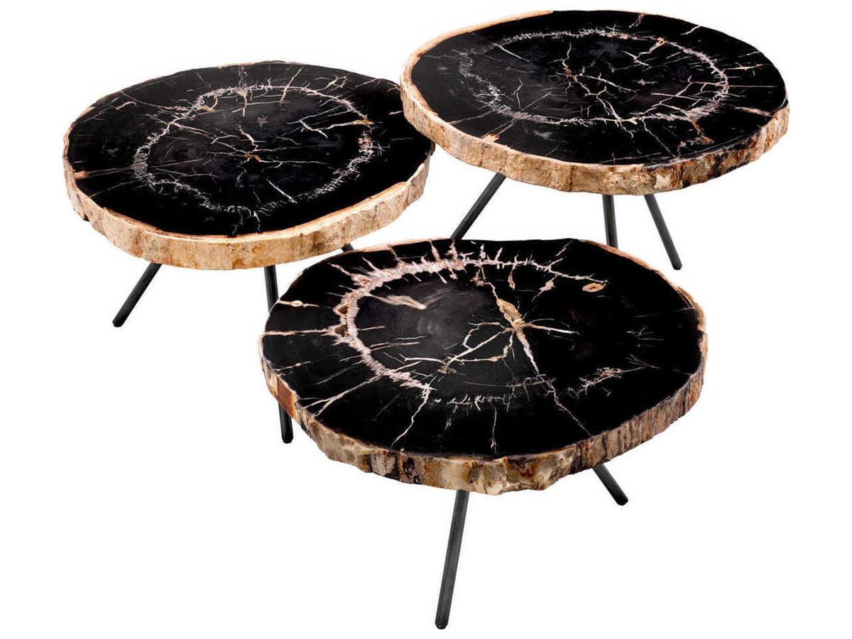 De Soto Dark Range Petrified Wood Set of 3 Coffee Table with Bronze Finish Legs