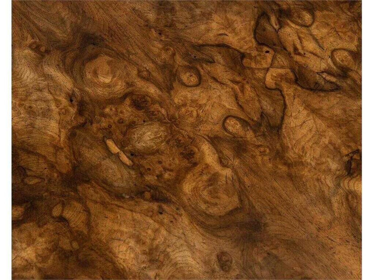 Woodcroft Three-Door Sideboard with European Walnut Burl and Aztec Gold Legs