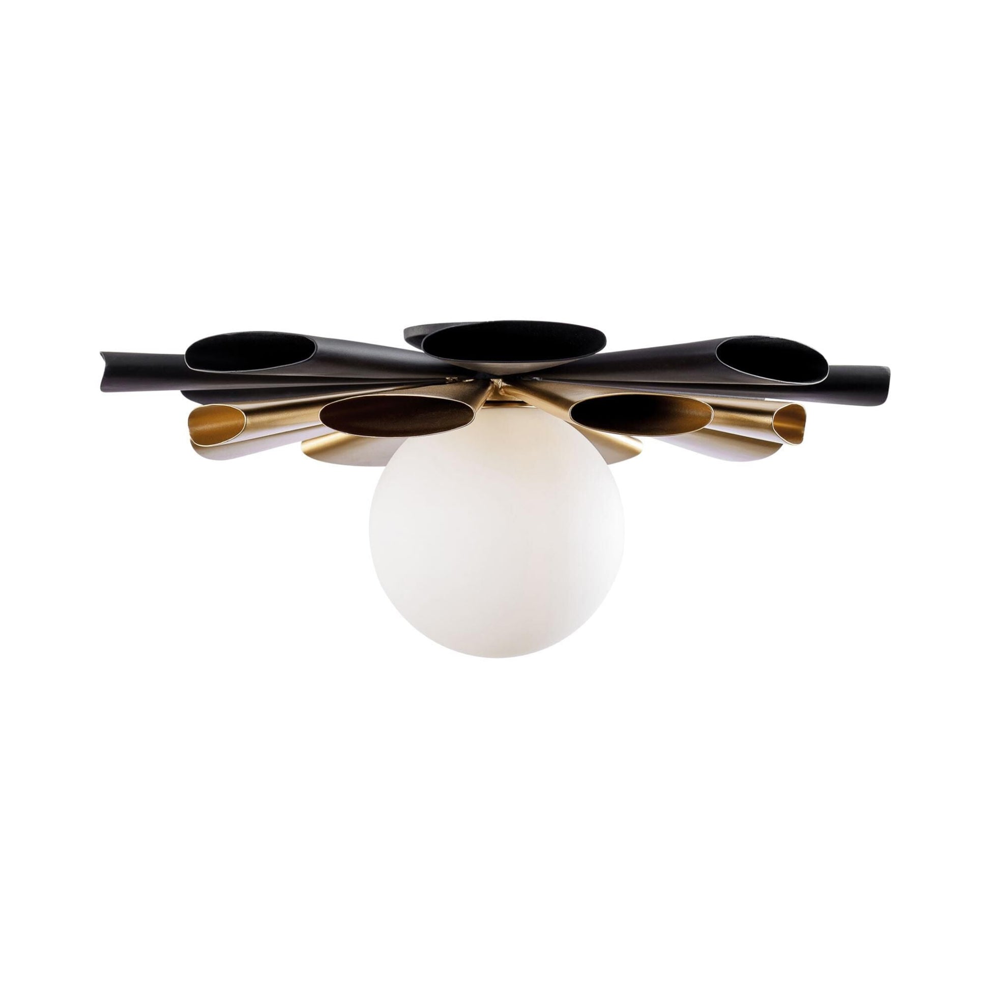 Varaluz Daphne 18 Inch Wall Sconce Cp769262